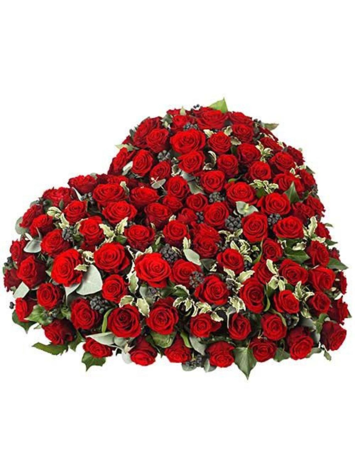 Les Coeurs Roses Rouges Coeur roses rouges - Bouton de Rose