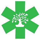 vital bonsai profile picture